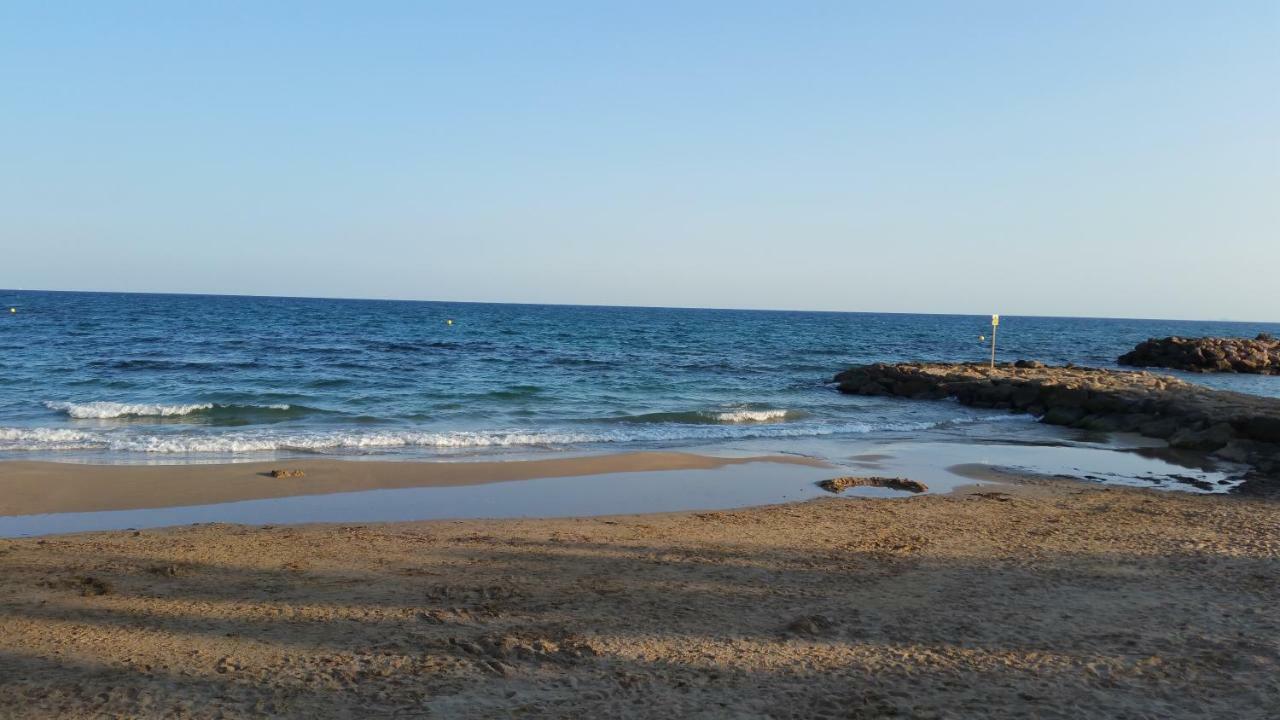 Homely Appartment Playa Acequion Torrevieja Exterior foto