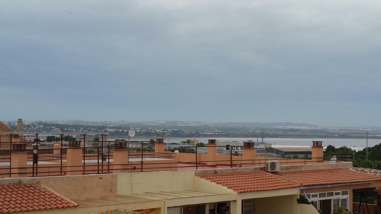 Homely Appartment Playa Acequion Torrevieja Exterior foto