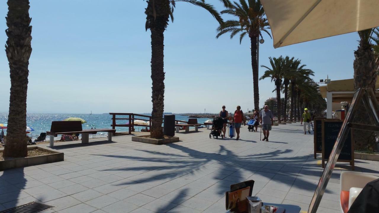 Homely Appartment Playa Acequion Torrevieja Exterior foto